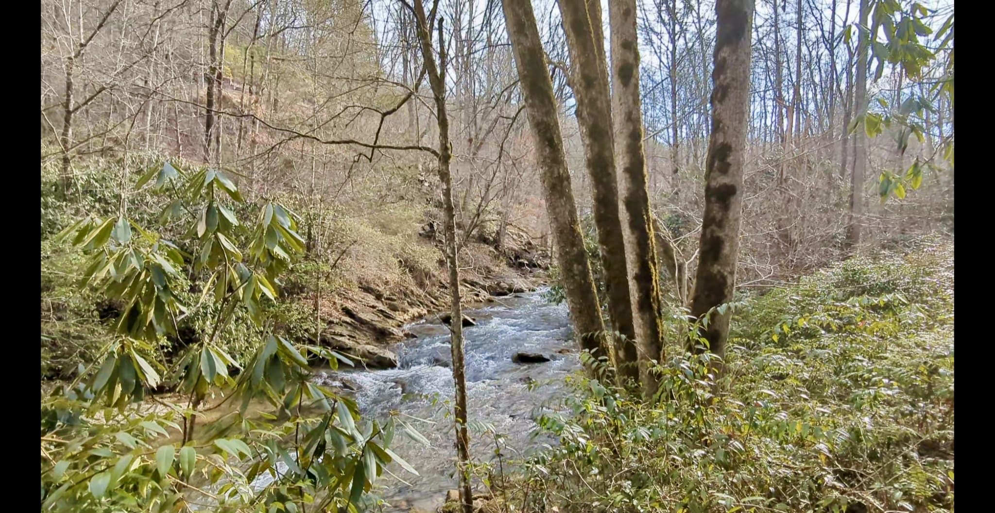 Creek running through the ALARKA mountain setting